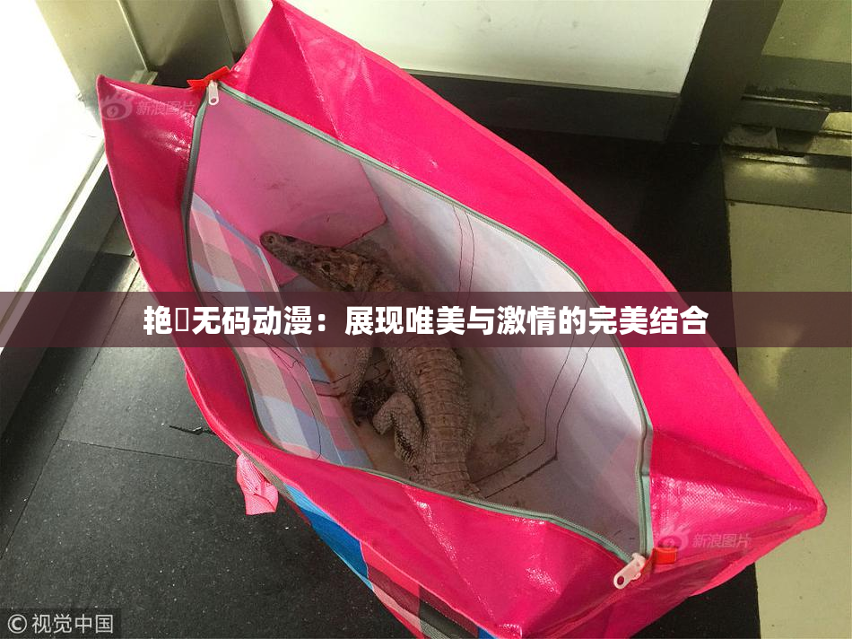 艳鉧无码动漫：展现唯美与激情的完美结合