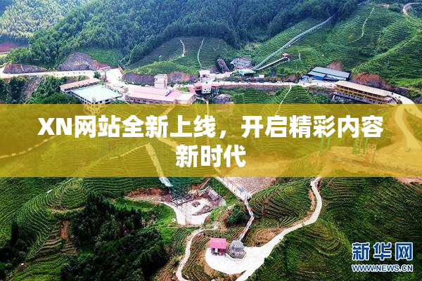 XN网站全新上线，开启精彩内容新时代