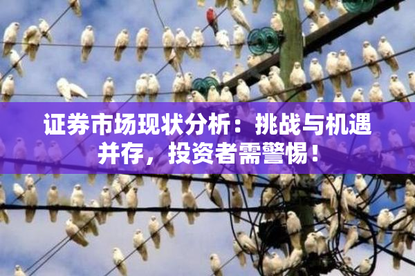 证券市场现状分析：挑战与机遇并存，投资者需警惕！