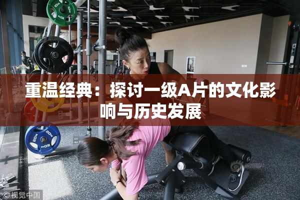 重温经典：探讨一级A片的文化影响与历史发展