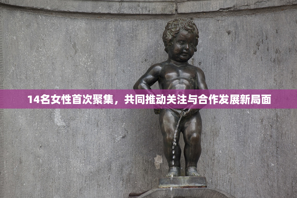 14名女性首次聚集，共同推动关注与合作发展新局面