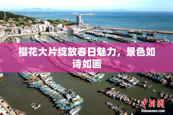 樱花大片绽放春日魅力，景色如诗如画