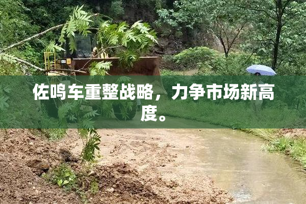佐鸣车重整战略，力争市场新高度。