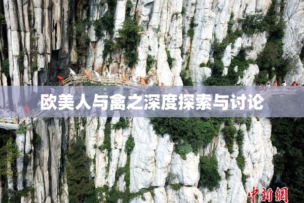 欧美人与禽之深度探索与讨论