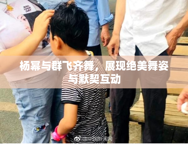 杨幂与群飞齐舞，展现绝美舞姿与默契互动