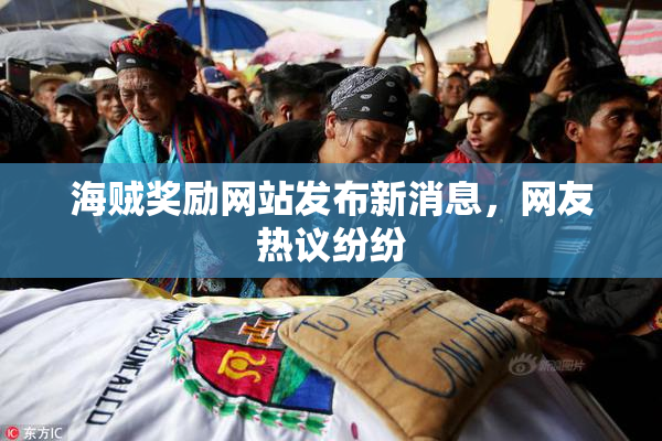 海贼奖励网站发布新消息，网友热议纷纷