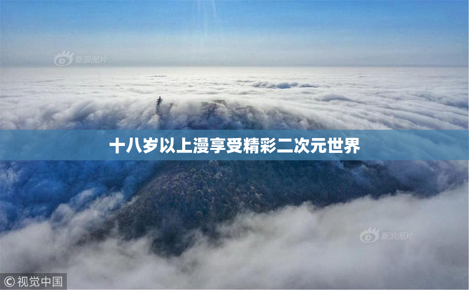 十八岁以上漫享受精彩二次元世界