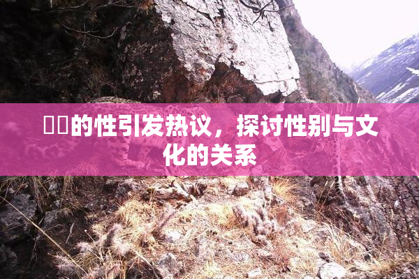 妺妺的性引发热议，探讨性别与文化的关系