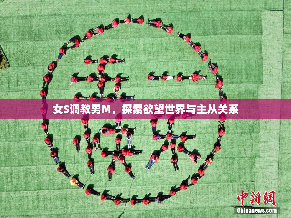 女S调教男M，探索欲望世界与主从关系