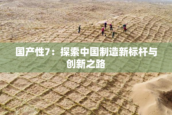 国产性7：探索中国制造新标杆与创新之路