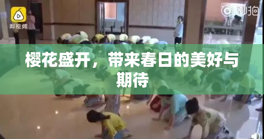樱花盛开，带来春日的美好与期待