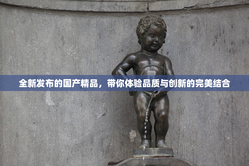 全新发布的国产精品，带你体验品质与创新的完美结合