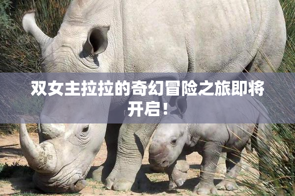 双女主拉拉的奇幻冒险之旅即将开启！
