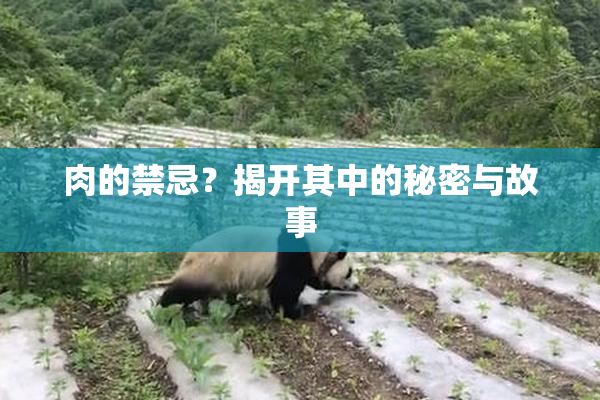 肉的禁忌？揭开其中的秘密与故事