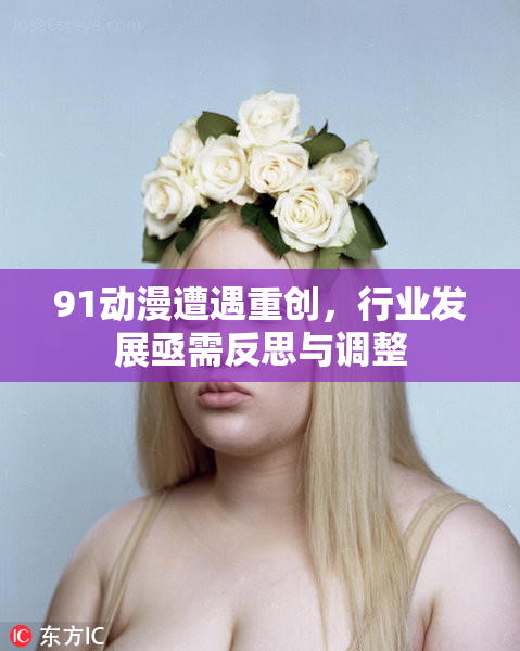 91动漫遭遇重创，行业发展亟需反思与调整