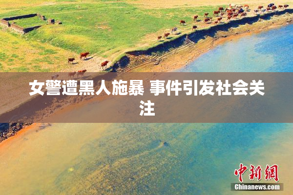 女警遭黑人施暴 事件引发社会关注
