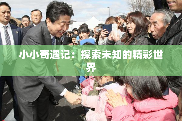 小小奇遇记：探索未知的精彩世界