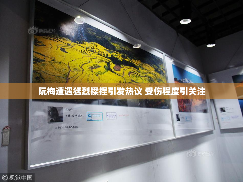 阮梅遭遇猛烈揉捏引发热议 受伤程度引关注