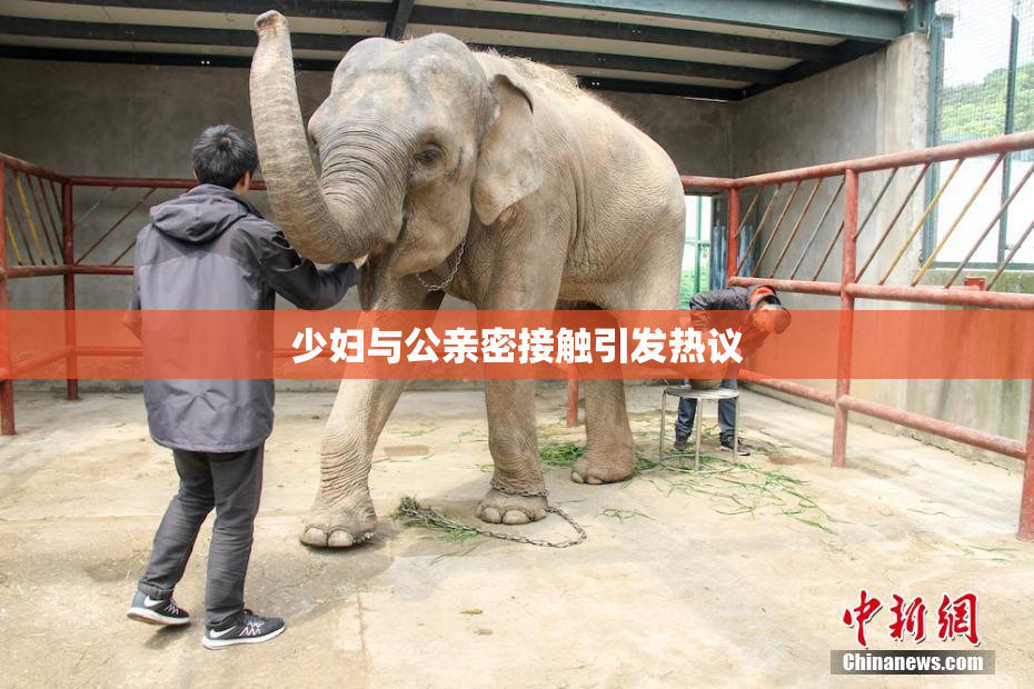 少妇与公亲密接触引发热议