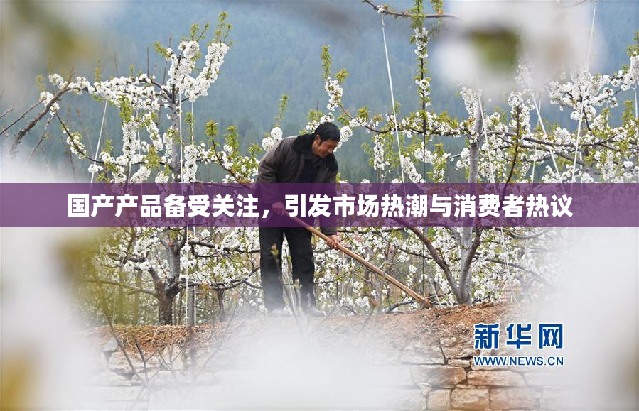 国产产品备受关注，引发市场热潮与消费者热议