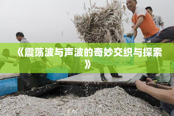 《震荡波与声波的奇妙交织与探索》
