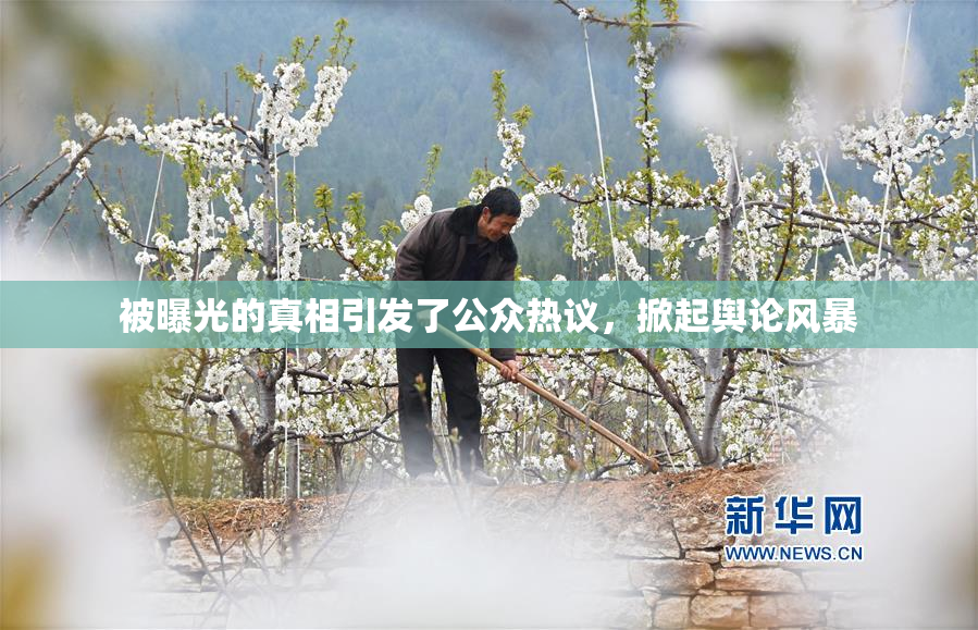 被曝光的真相引发了公众热议，掀起舆论风暴
