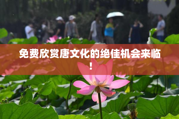 免费欣赏唐文化的绝佳机会来临！