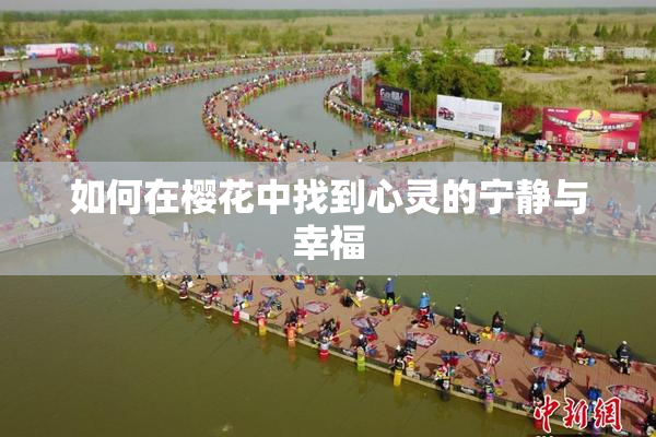 如何在樱花中找到心灵的宁静与幸福