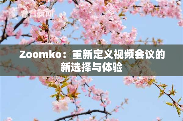 Zoomko：重新定义视频会议的新选择与体验