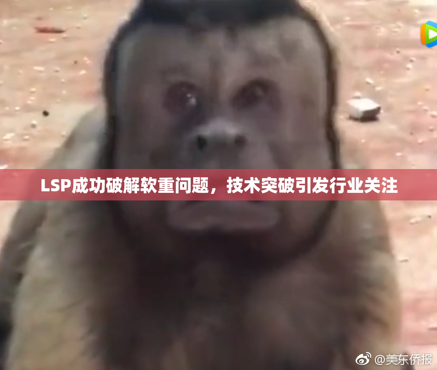 LSP成功破解软重问题，技术突破引发行业关注
