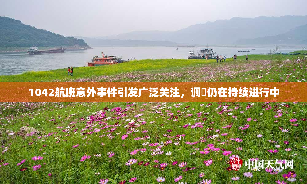 1042航班意外事件引发广泛关注，调査仍在持续进行中