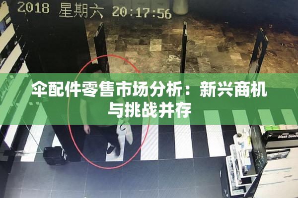 伞配件零售市场分析：新兴商机与挑战并存