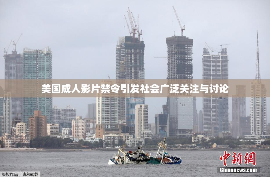 美国成人影片禁令引发社会广泛关注与讨论