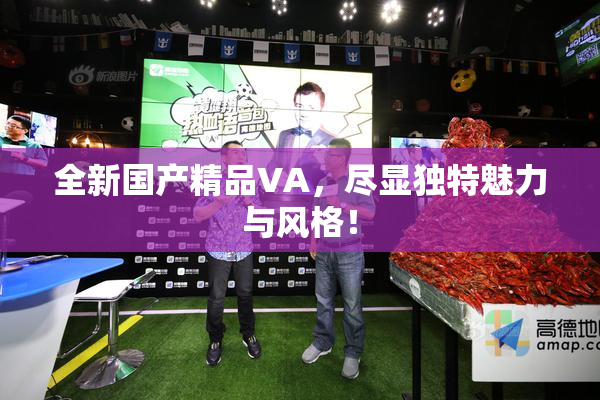 全新国产精品VA，尽显独特魅力与风格！