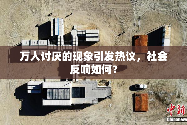 万人讨厌的现象引发热议，社会反响如何？