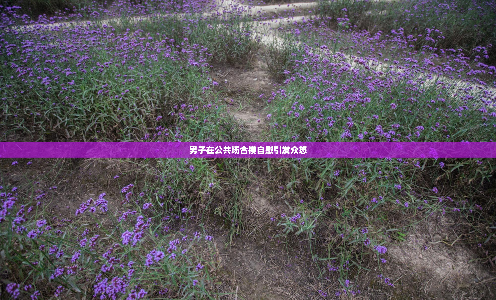 男子在公共场合摸自慰引发众怒