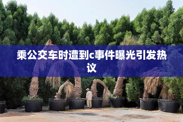 乘公交车时遭到c事件曝光引发热议