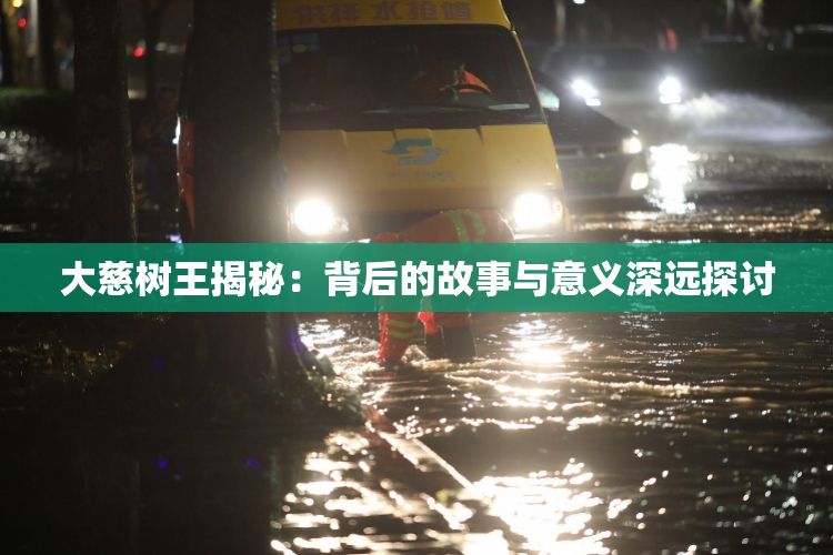 大慈树王揭秘：背后的故事与意义深远探讨