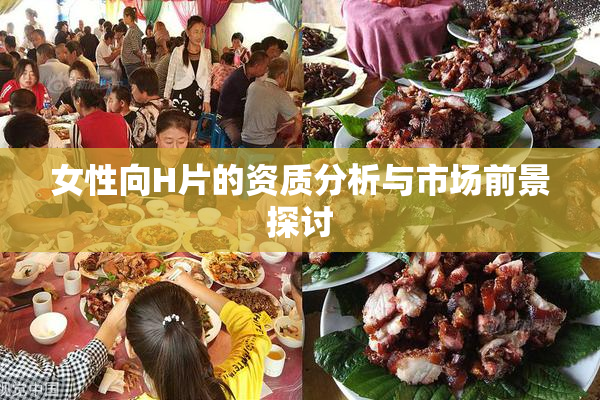 女性向H片的资质分析与市场前景探讨