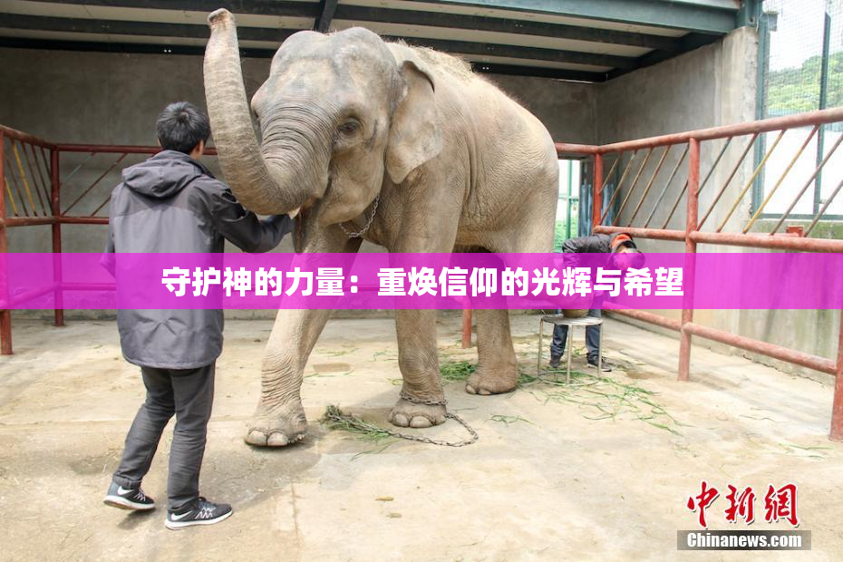 守护神的力量：重焕信仰的光辉与希望