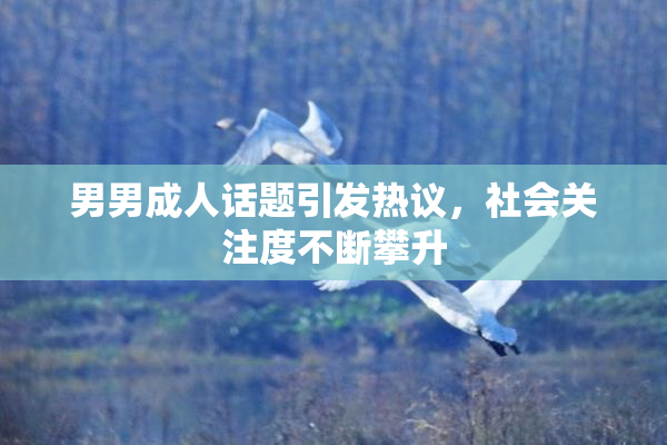 男男成人话题引发热议，社会关注度不断攀升