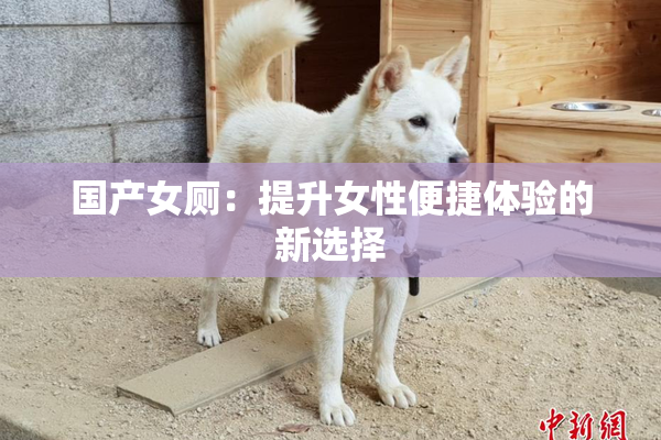 国产女厕：提升女性便捷体验的新选择