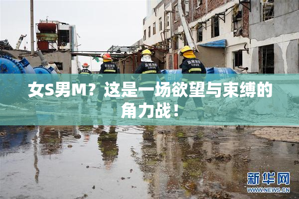 女S男M？这是一场欲望与束缚的角力战！