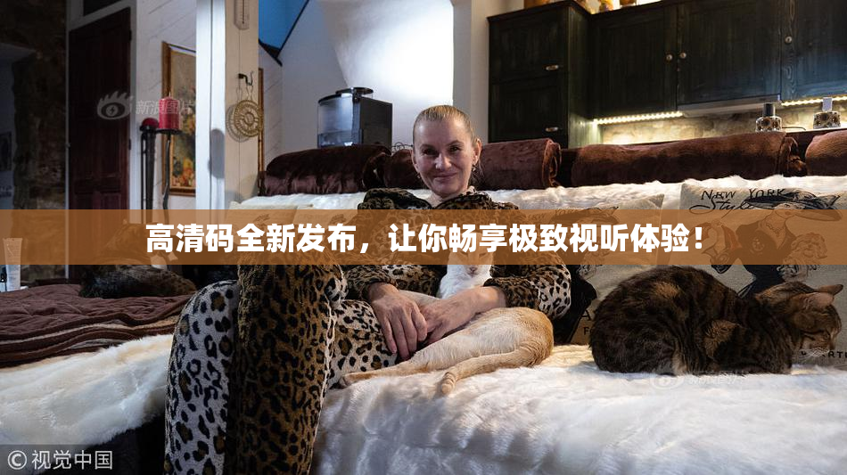 高清码全新发布，让你畅享极致视听体验！