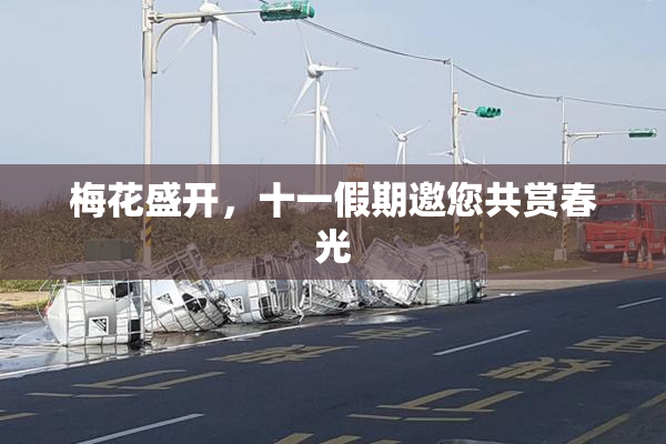 梅花盛开，十一假期邀您共赏春光