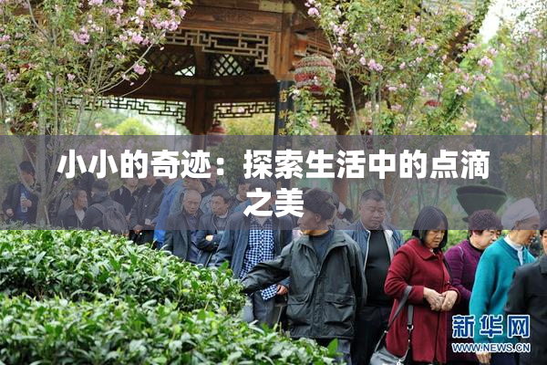 小小的奇迹：探索生活中的点滴之美