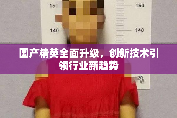 国产精英全面升级，创新技术引领行业新趋势