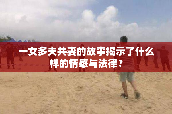 一女多夫共妻的故事揭示了什么样的情感与法律？