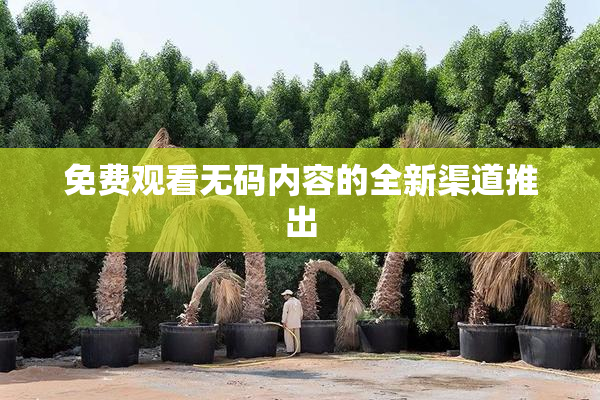 免费观看无码内容的全新渠道推出