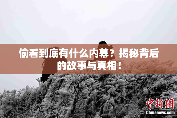 偷看到底有什么内幕？揭秘背后的故事与真相！